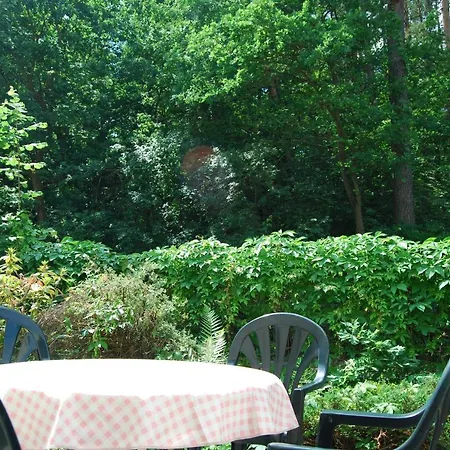 Apartment Volker Witte * Лихен